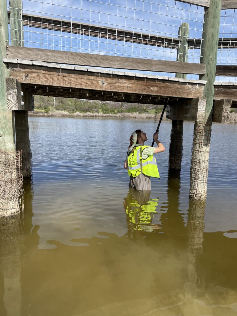 Ian stands in a pond holding a mirror on a pole up under the dock. 