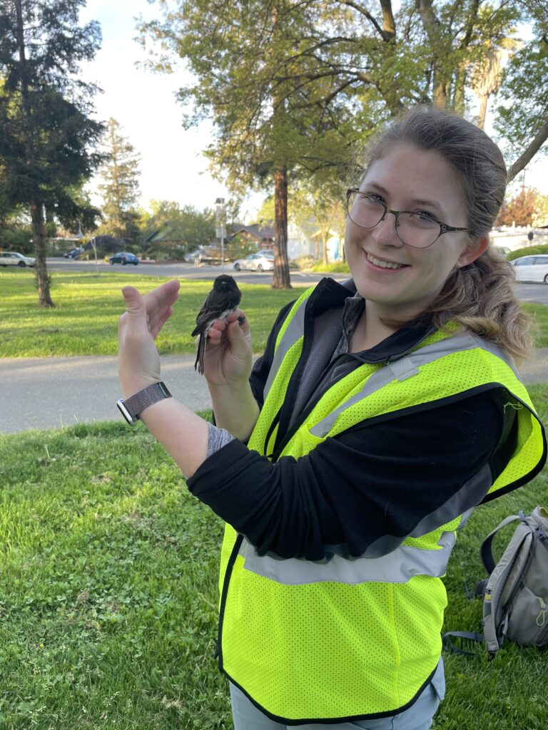 Sage holds an adult Phoebe in photographer's grip. A lawn and some houses are visible in the background. 